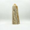 Obélisque en corail fossilisé